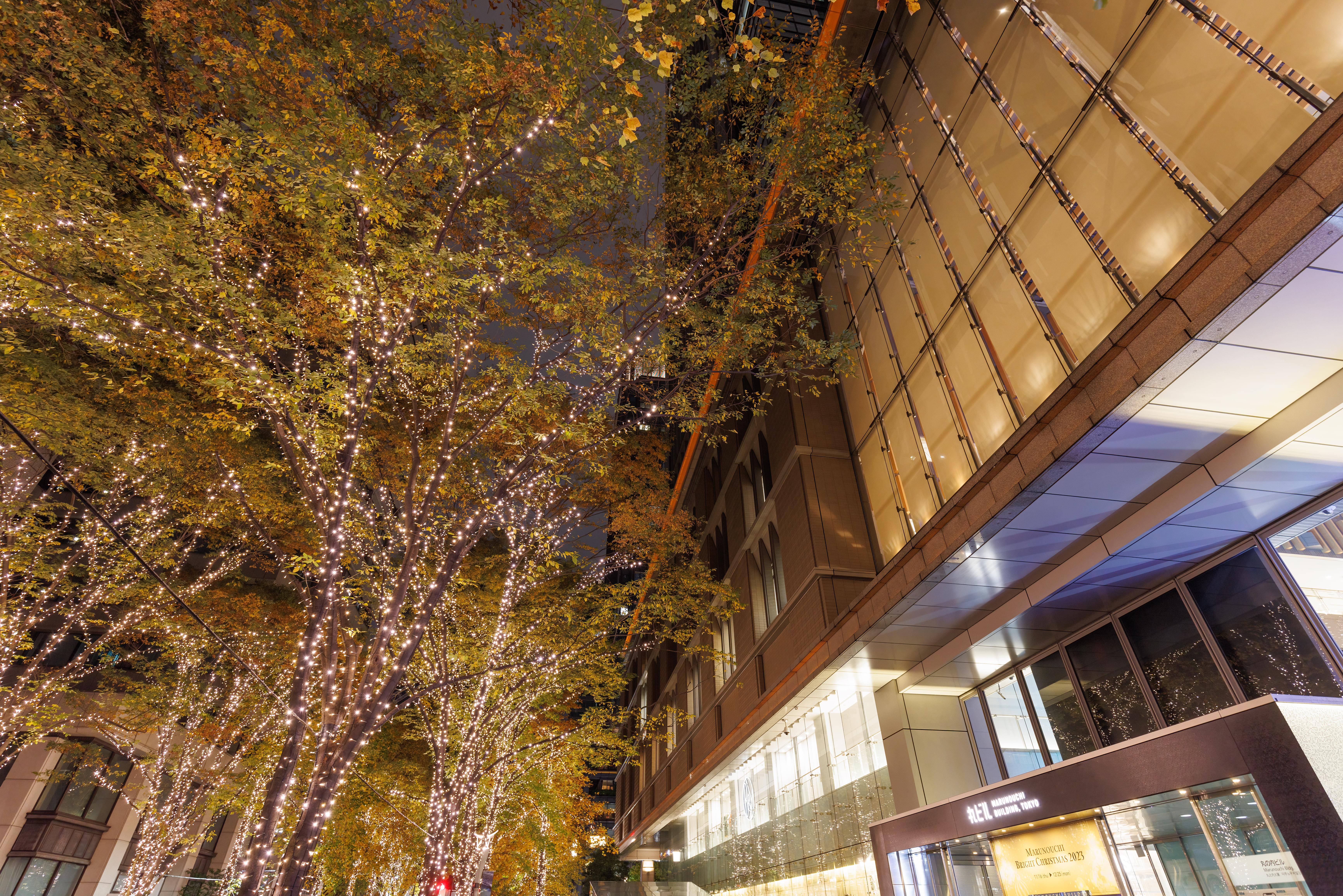 Tokyo Marunouchi at Night