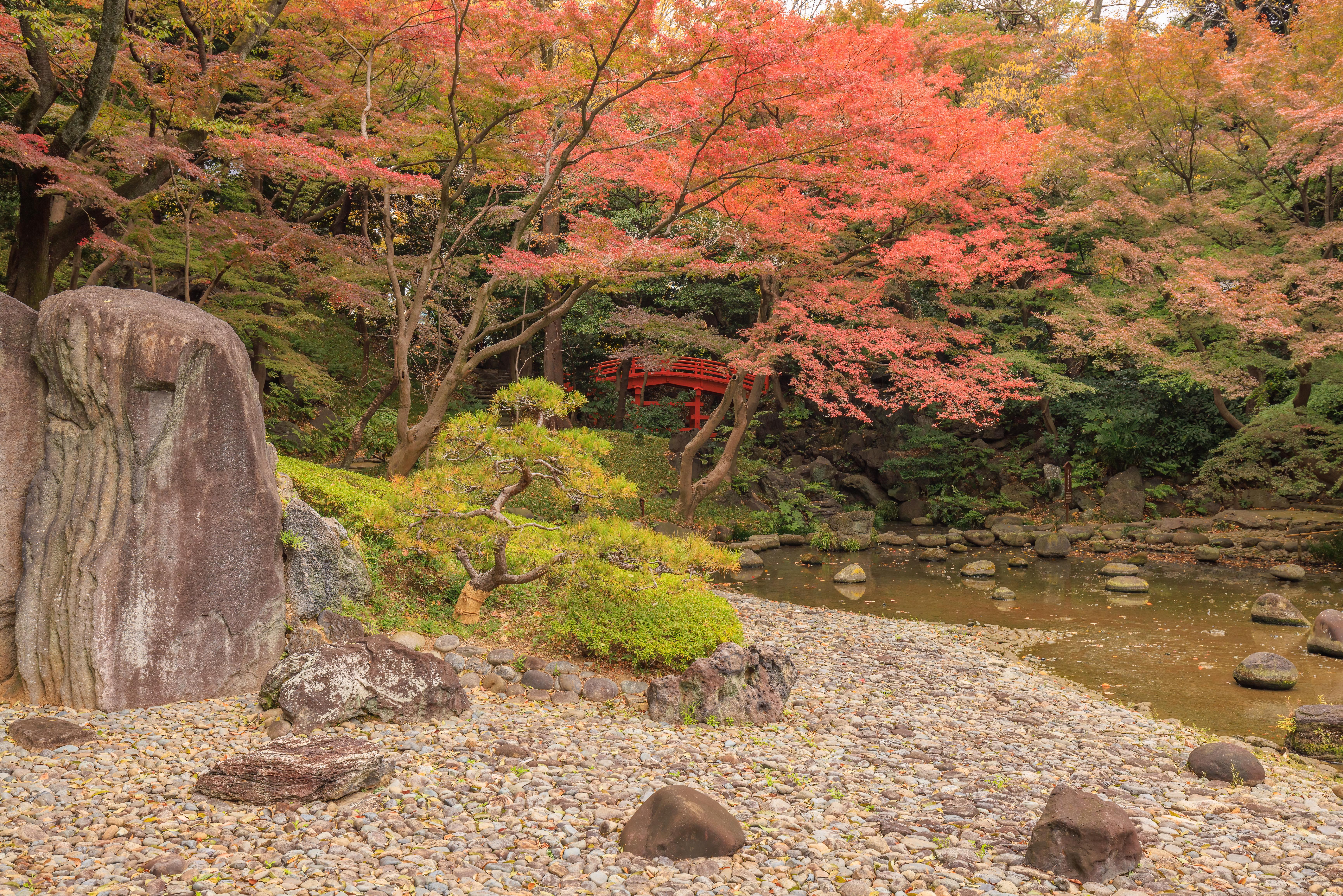 Koraku-en and the Meiji Jingu Inner Garden