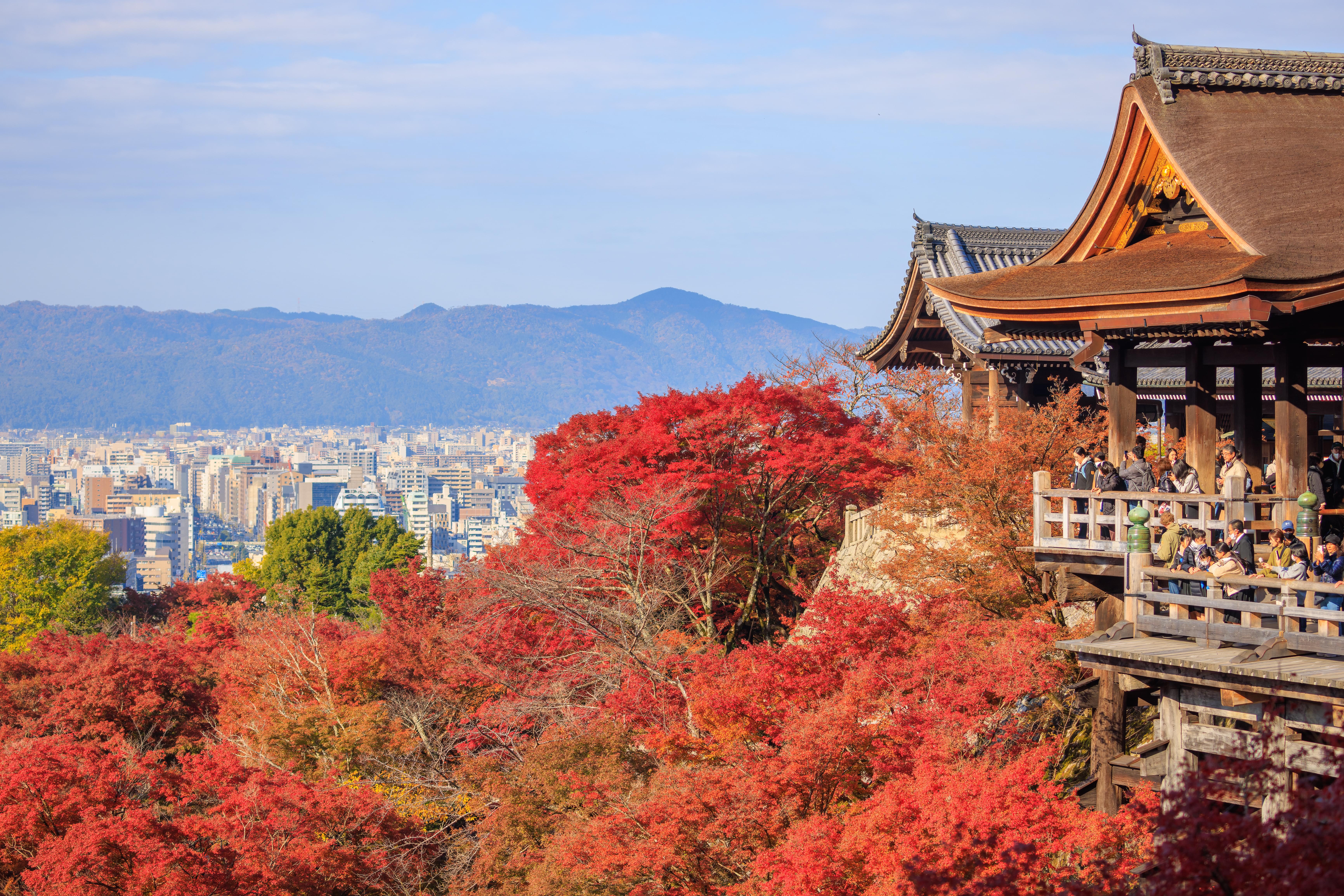 Daytime Kiyomizu-dera and Evening Kodai-ji