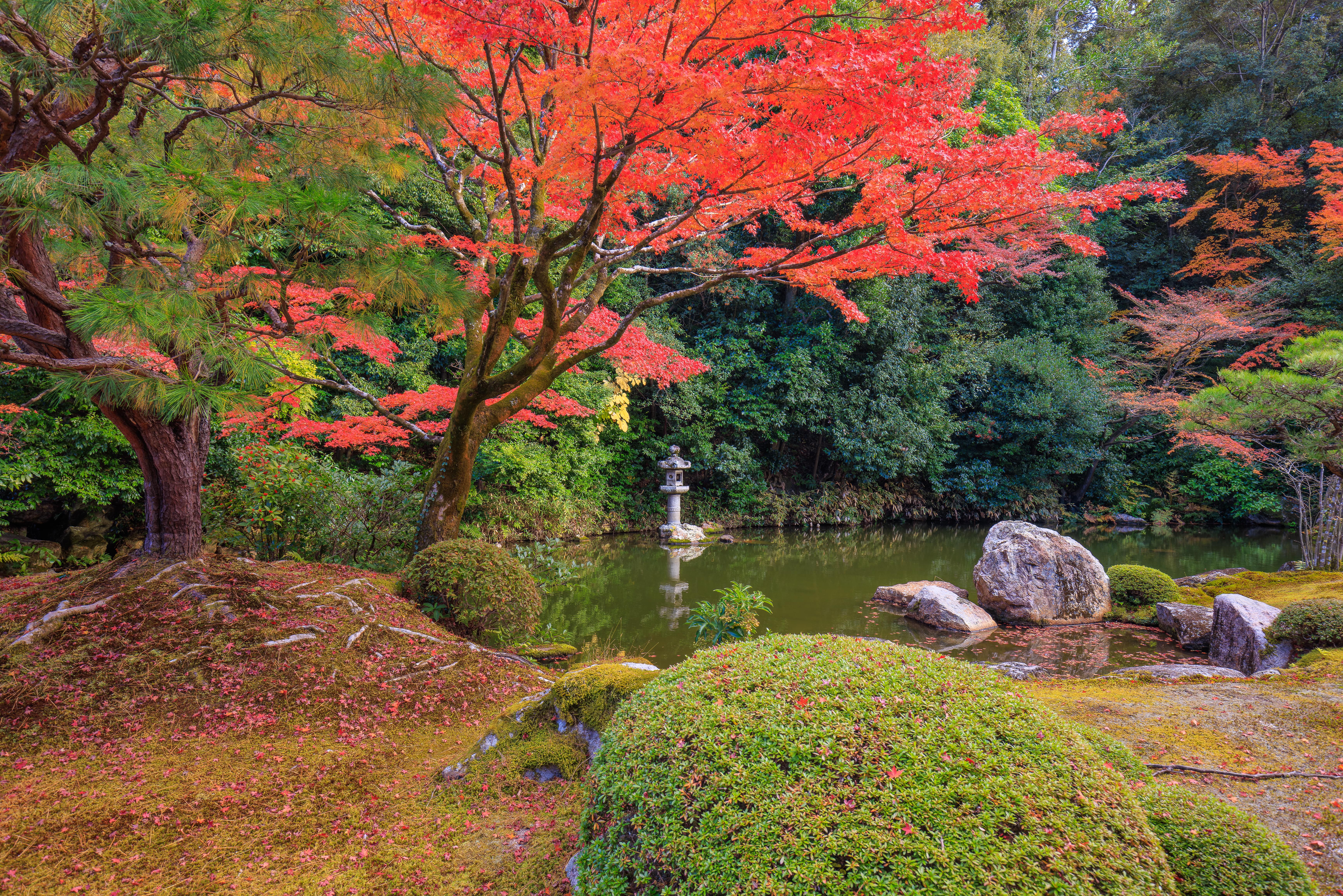 Higashiyama High and Low