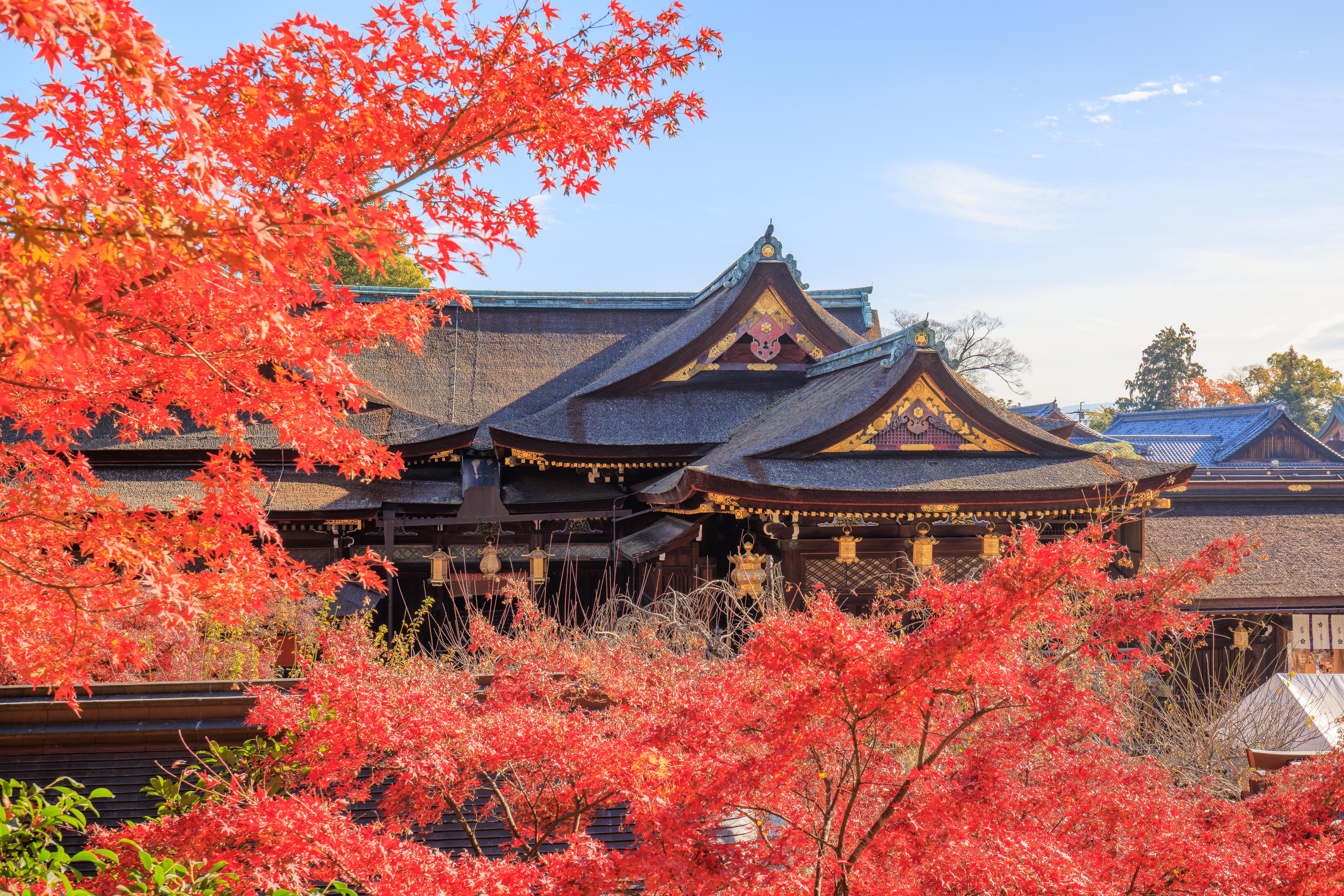 Kitano Tenmangu and To-ji