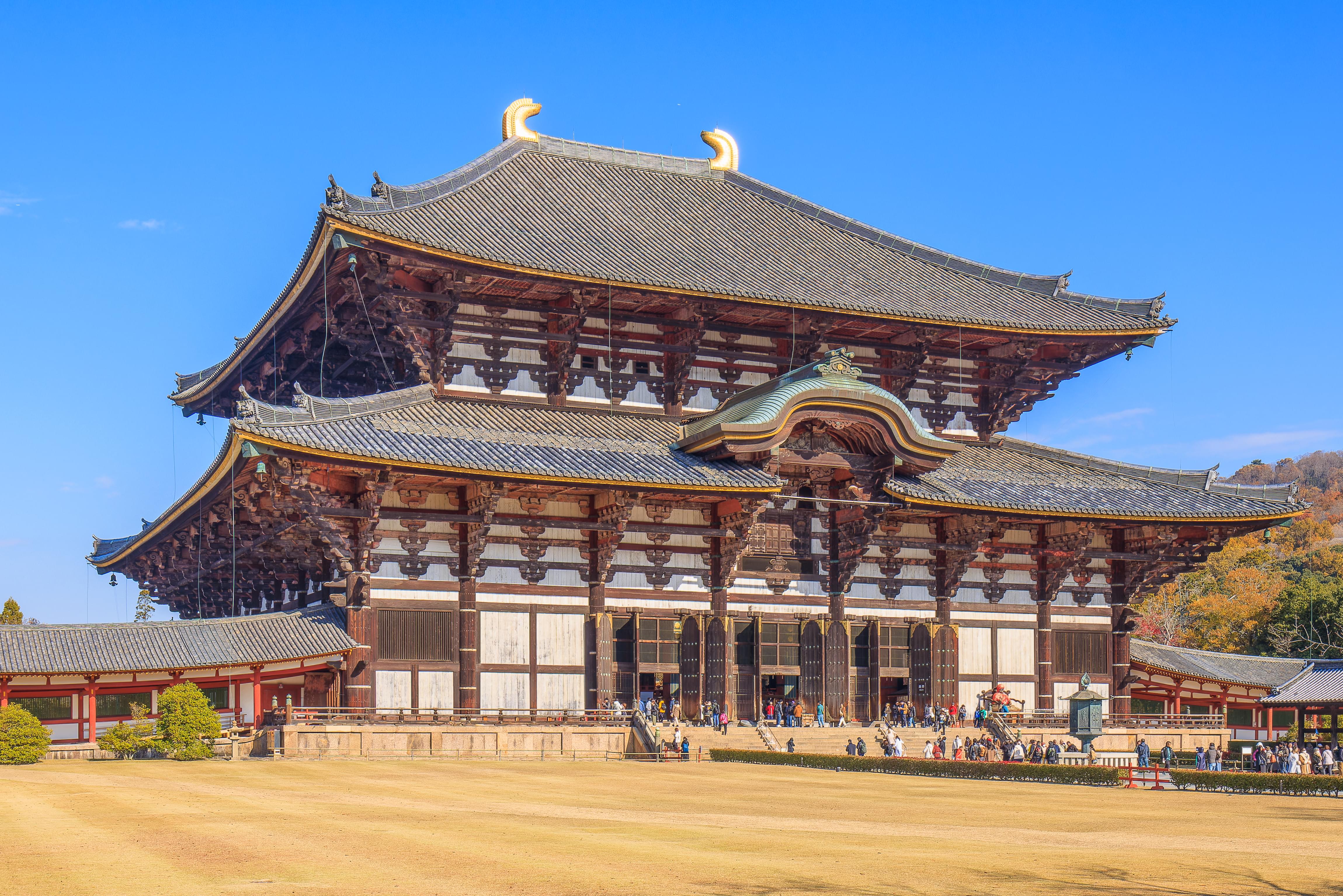 Oh Deer, a Day in Nara