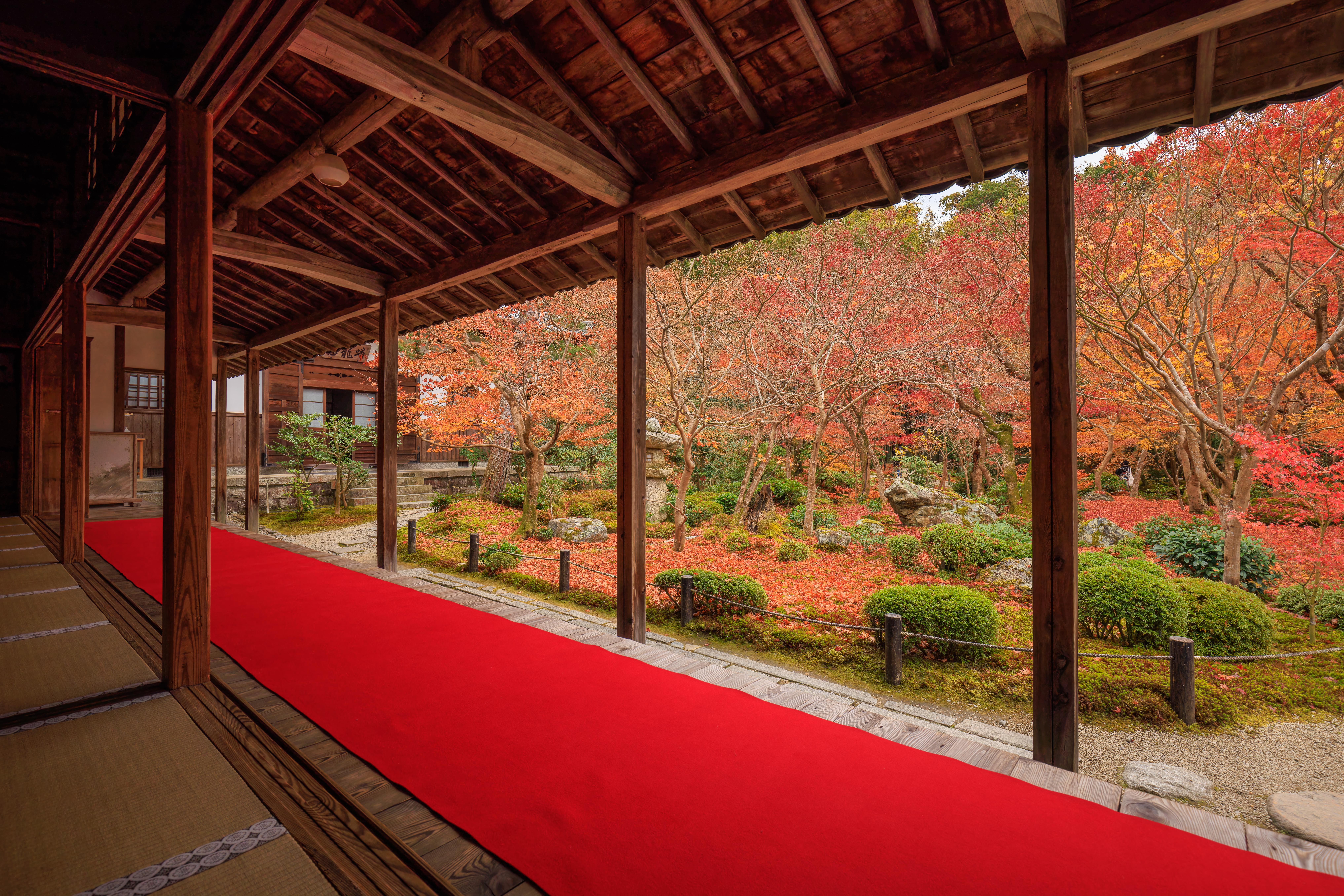 Enko-ji, Shisen-do, and the Shimogamo-jinja