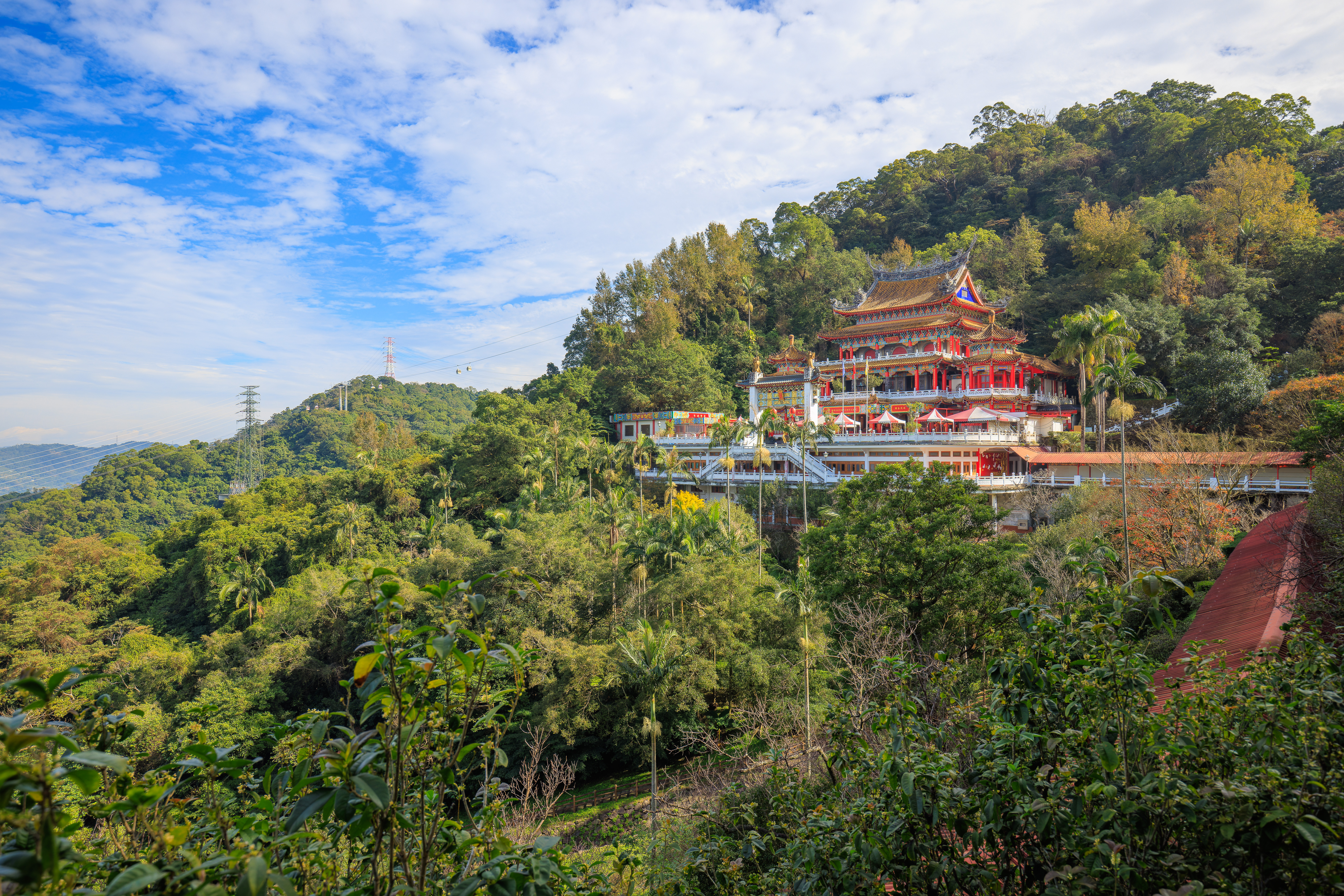 Tea and Temples at Maokong